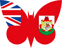 Bermuda Moths Logo